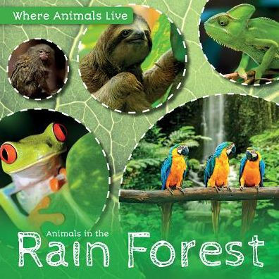 Animals in the Rain Forest