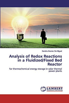 Analysis of Redox Reactions in a Fluidized/Fixed Bed Reactor