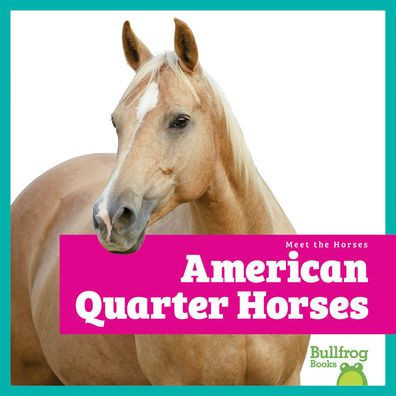 American Quarter Horses