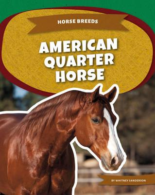 American Quarter Horse