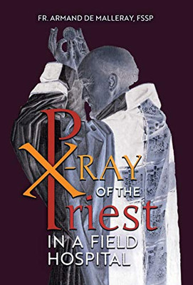 X-Ray of the Priest In a Field Hospital : Reflections on the Sacred Priesthood