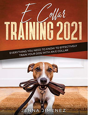 E Collar Training2021 : Everything You Need to Know to Effectively Train Your Dog with an E Collar