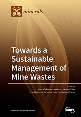 Towards a Sustainable Management of Mine Wastes : Reprocessing, Reuse, Revalorization and Repository