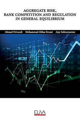 Aggregate Risk, Bank Competition and Regulation in General Equilibrium