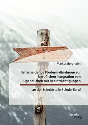 Entscheidende Fördermaßnahmen zur beruflichen Integration von Jugendlichen mit Beeinträchtigungen an der Schnittstelle Schule-Beruf (German Edition)