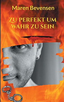 Zu perfekt um wahr zu sein (German Edition)