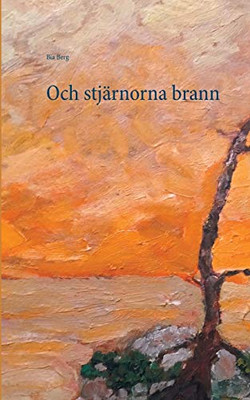 Och stjärnorna brann (Swedish Edition)