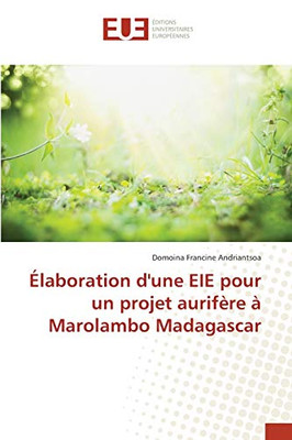 Élaboration d'une EIE pour un projet aurifère à Marolambo Madagascar (French Edition)