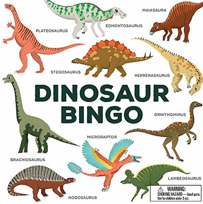 Dinosaur Bingo: (An easy-to-play game for children and families)