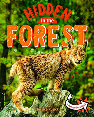 Animals Hidden In The Forest - 9781666315455