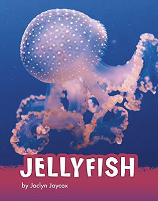 Jellyfish - 9781663971807