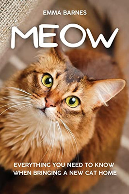 Meow : Everything You Need To Know When Bringing A New Cat Home