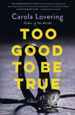 Too Good To Be True : A Novel