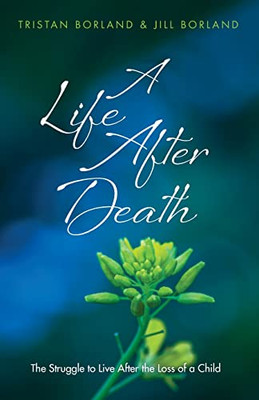 A Life After Death : The Struggle To Live After The Loss Of A Child