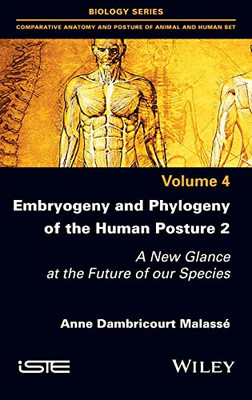 Embryogeny And Phylogeny Of The Human Posture 2