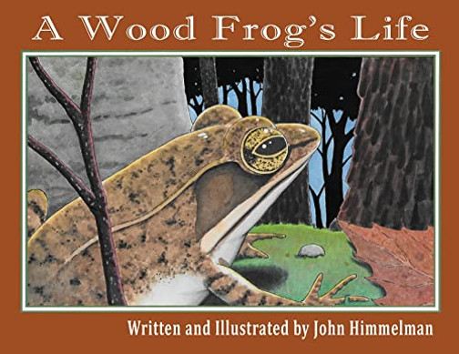 A Wood Frog'S Life