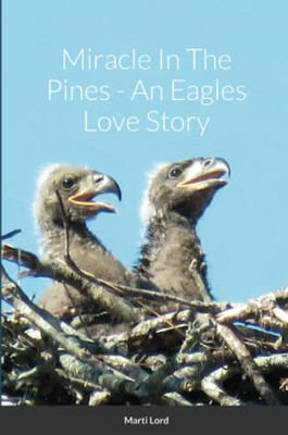 Miracle In The Pines - An Eagles Love Story