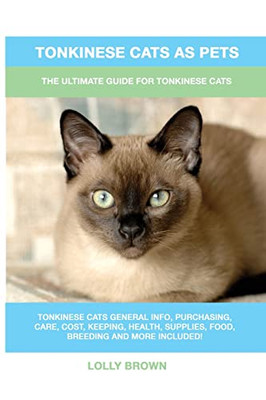 Tonkinese Cats As Pets : The Ultimate Guide For Tonkinese Cats