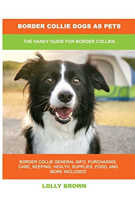 Border Collie Dogs As Pets : The Handy Guide For Border Collies