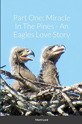 Part One : Miracle In The Pines - An Eagles Love Story