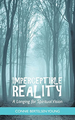 Imperceptible Reality : A Longing For Spiritual Vision