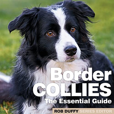 Border Collies : The Essential Guide