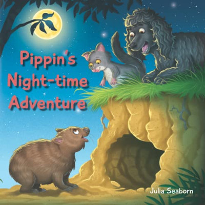 Pippin'S Night-Time Adventure
