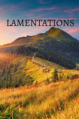 Lamentations Bible Journal