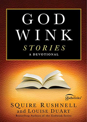 Godwink Stories: A Devotional (3) (The Godwink Series)