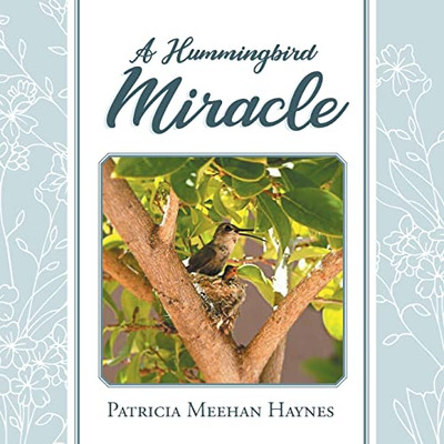 A Hummingbird Miracle