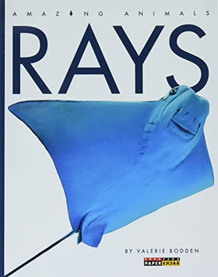 Rays (Amazing Animals)