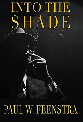 Into The Shade - 9780473615772