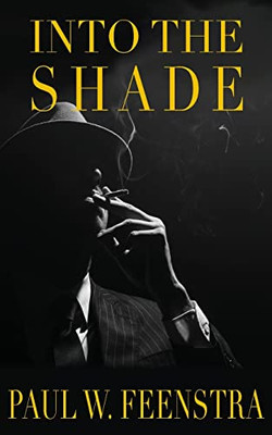Into The Shade - 9780473615765