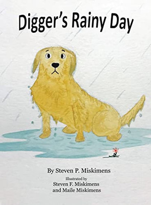 DiggerS Rainy Day - 9781665716024