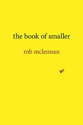 The Book Of Smaller (Brave & Brilliant, 25)