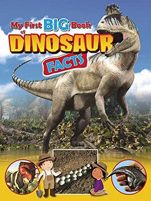 My First Big Book Of Dinosaur Facts - 9781788562478