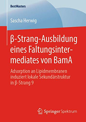 ß-Strang-Ausbildung Eines Faltungsintermediates Von Bama: Adsorption An Lipidmembranen Induziert Lokale Sekundärstruktur In ß-Strang 9 (Bestmasters) (German Edition)