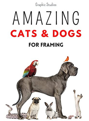 Amazing Cats And Dogs For Framing: Amazing Pet Photos, Funny Dogs And Cats To Frame (Pets) - 9781804319451