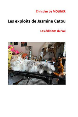 Les Exploits De Jasmine Catou: Les Éditions Du Val (Détective Jasmine Catou) (French Edition)