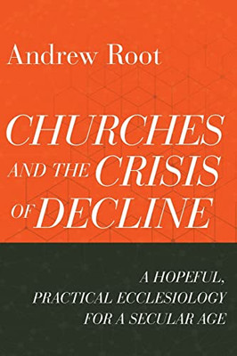 Churches And The Crisis Of Decline (Ministry In A Secular Age) - 9781540964816