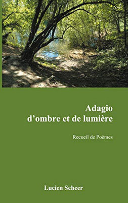 Adagio D'Ombre Et De Lumière: Recueil De Poèmes (French Edition)