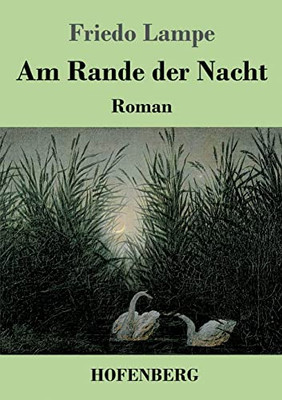 Am Rande Der Nacht: Roman (German Edition) - 9783743743151