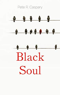 Black Soul: Ein Jahr Im Leben Von Popp (German Edition)