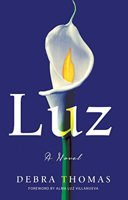 Luz: A Novel
