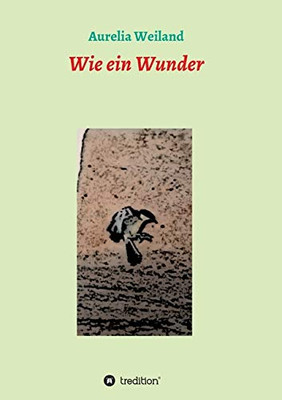 Wie Ein Wunder (German Edition)