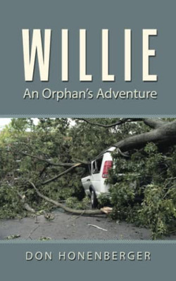 Willie: An OrphanS Adventure