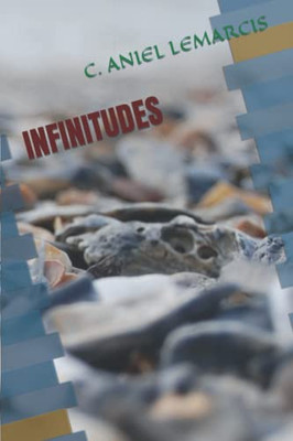 Infinitudes (French Edition)
