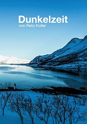 Dunkelzeit (German Edition)