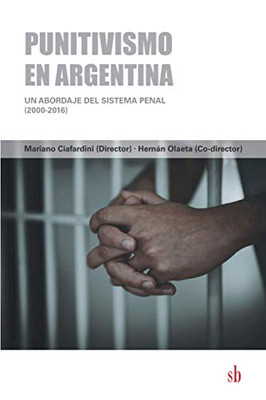 Punitivismo En Argentina: Un Abordaje Del Sistema Penal (2000-2016) (Spanish Edition)