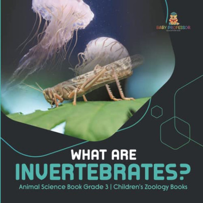 What Are Invertebrates? | Animal Science Book Grade 3 | Children'S Zoology Books